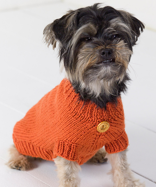 22 Adorable Dogs In Knitwear | Top Crochet Patterns Blog