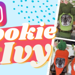 Sookie and Ivy: The TikTok Dogs Who Model Crochet Hats